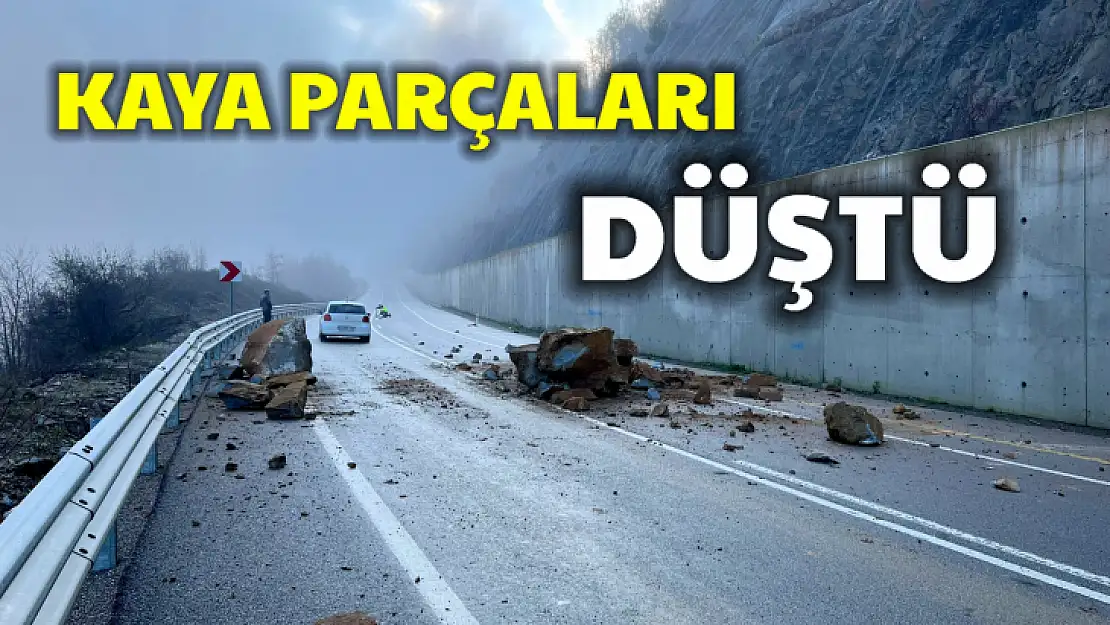 Kaya parçaları yola düştü