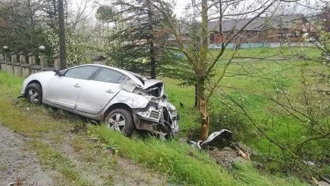 Kayan otomobil ağaca çarptı
