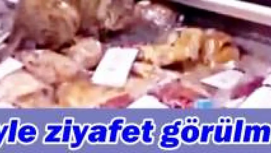 Kedi öyle bir ziyafet çekti ki!