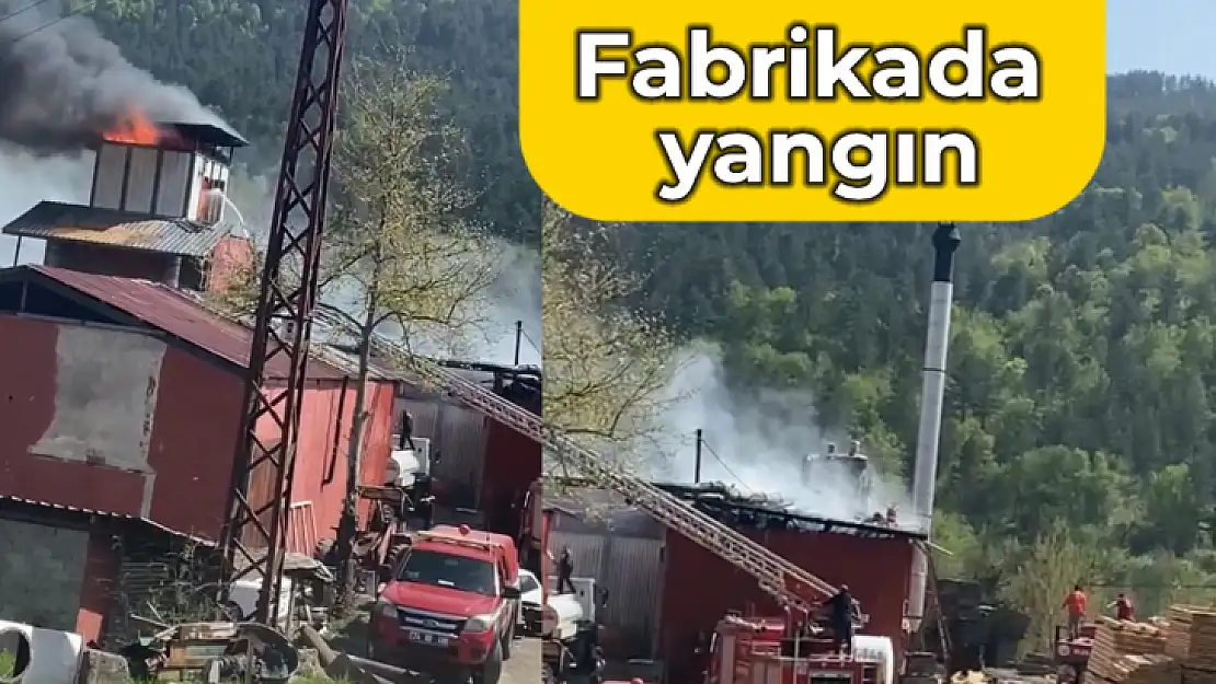 Kereste fabrikasında yangın