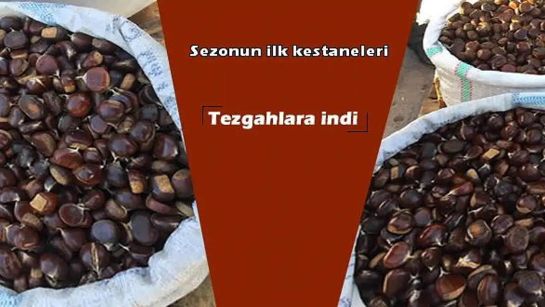 Kestane tezgahlara indi