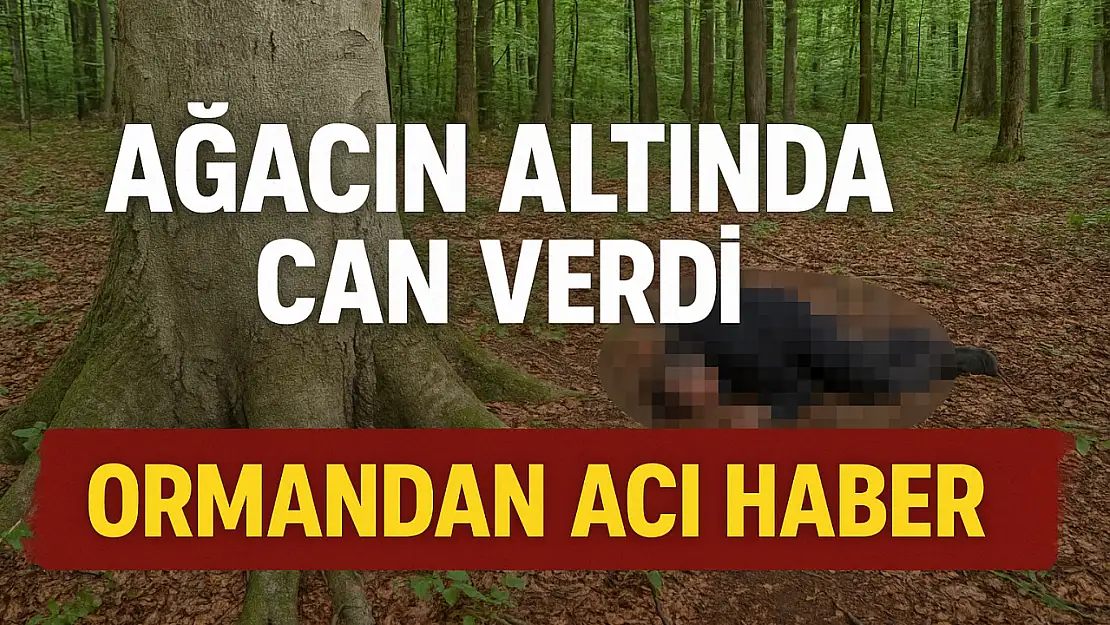 Kestiği Ağacın Altında kaldı