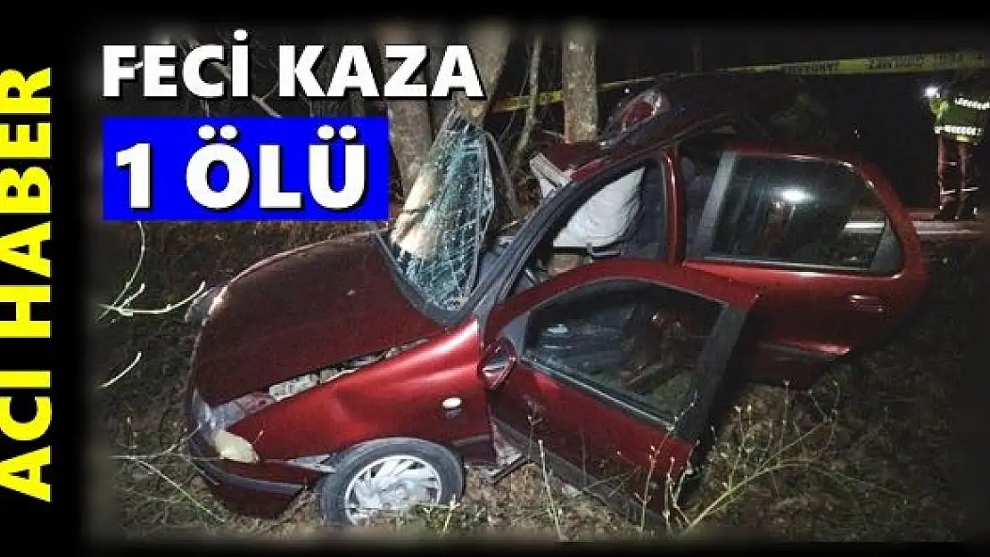 Kontrolden çıkan araç ağaca çarptı