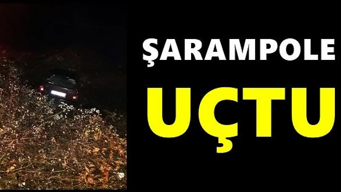 Kontrolden çıkıp şarampole uçtu