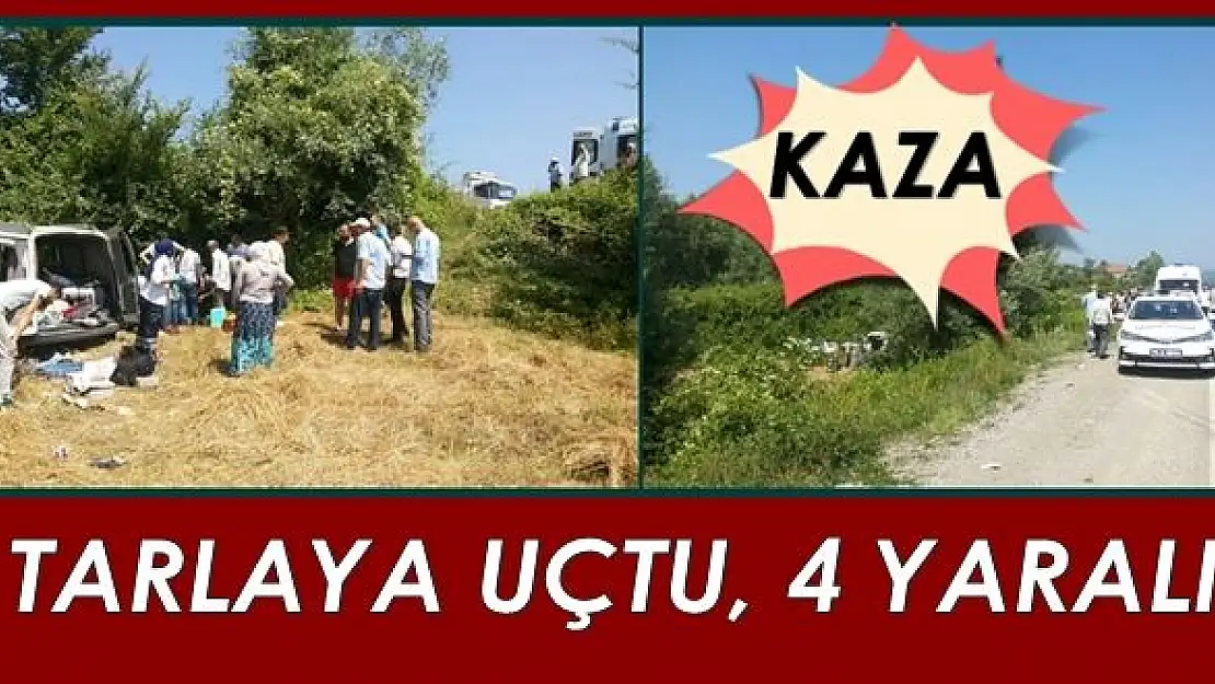 Kontrolden çıkıp tarlaya uçtu, 4 yaralı