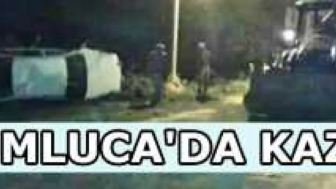 Köpeğe Çarpmak İstemeyen Sürücü Takla Attı