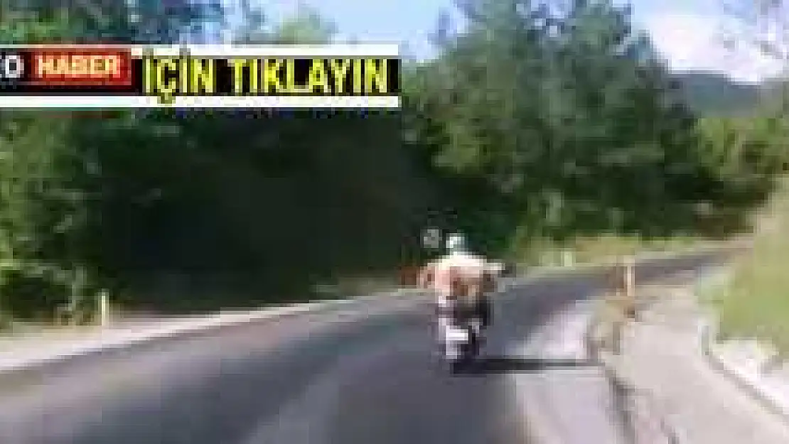KÖPEĞİN MOTOSİKLET KEYFİ