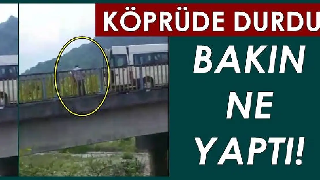 Köprüde aracı durdurdu, bakın ne yaptı!
