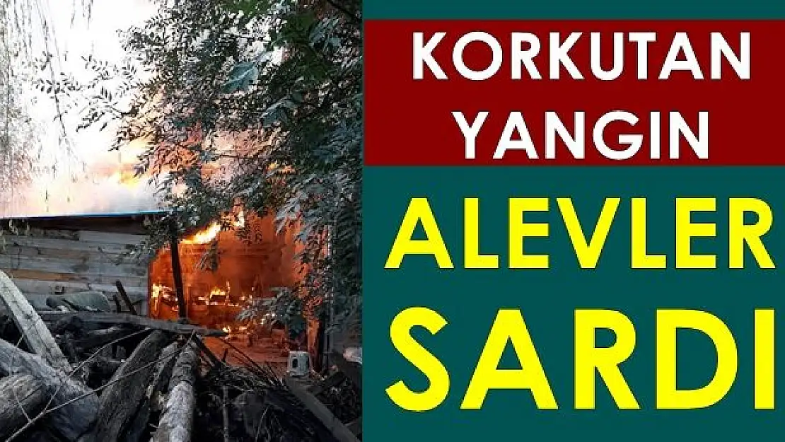 Korkutan yangın
