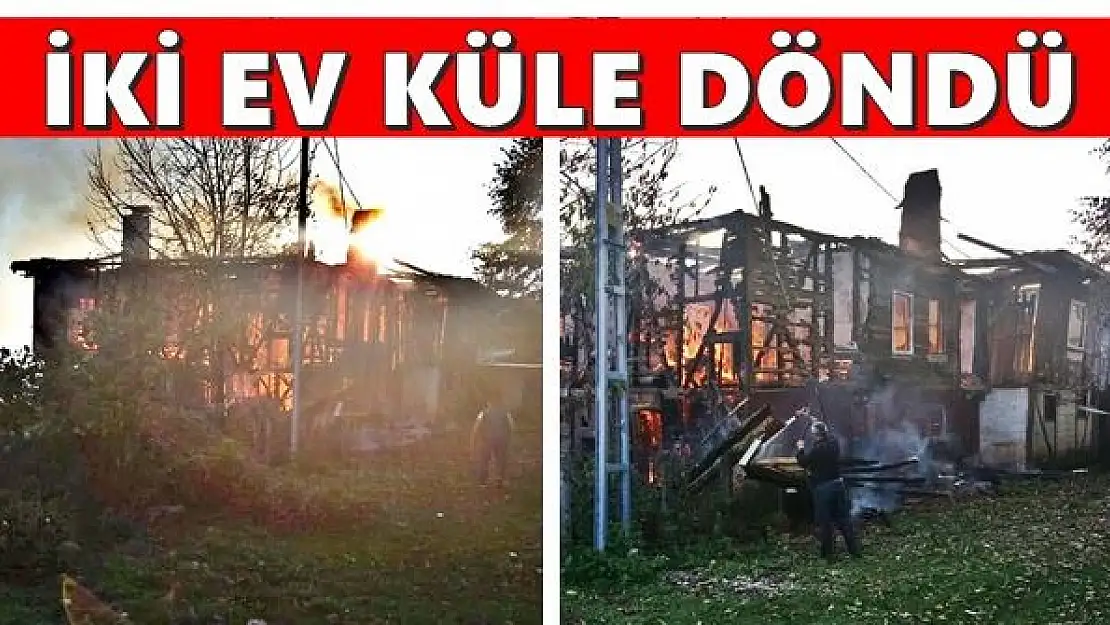 Korkutan yangında 2 ev küle döndü