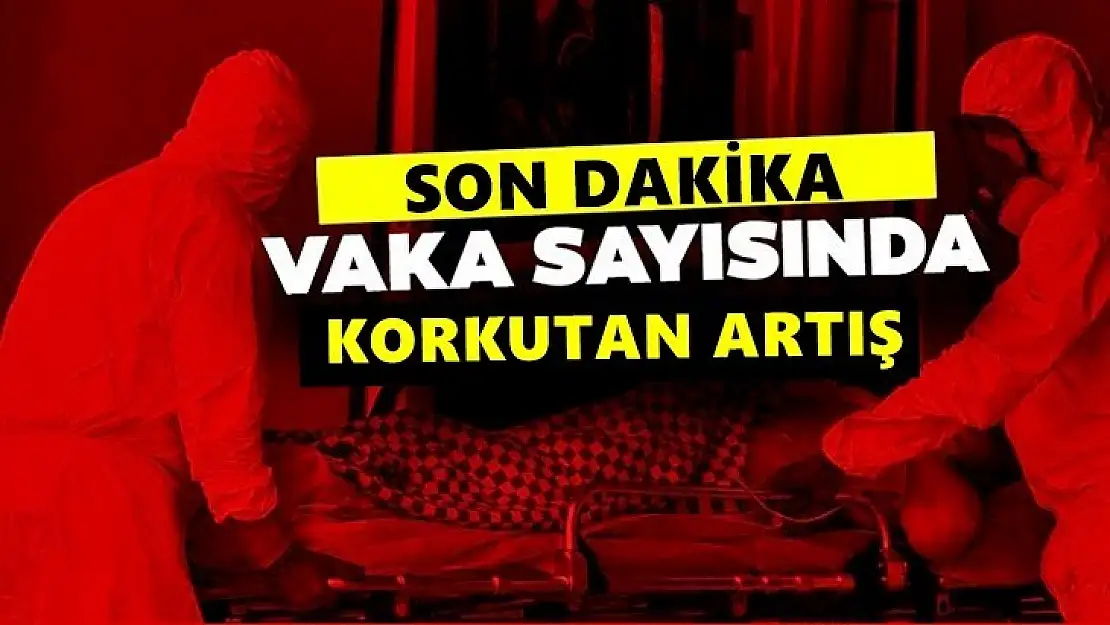 Korona bayram yapıyor, sayı gittikçe artıyor