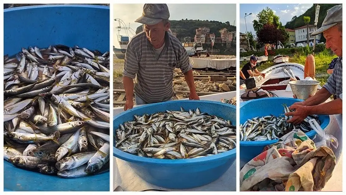 Koronavirüs sonrası istavrit bereketi