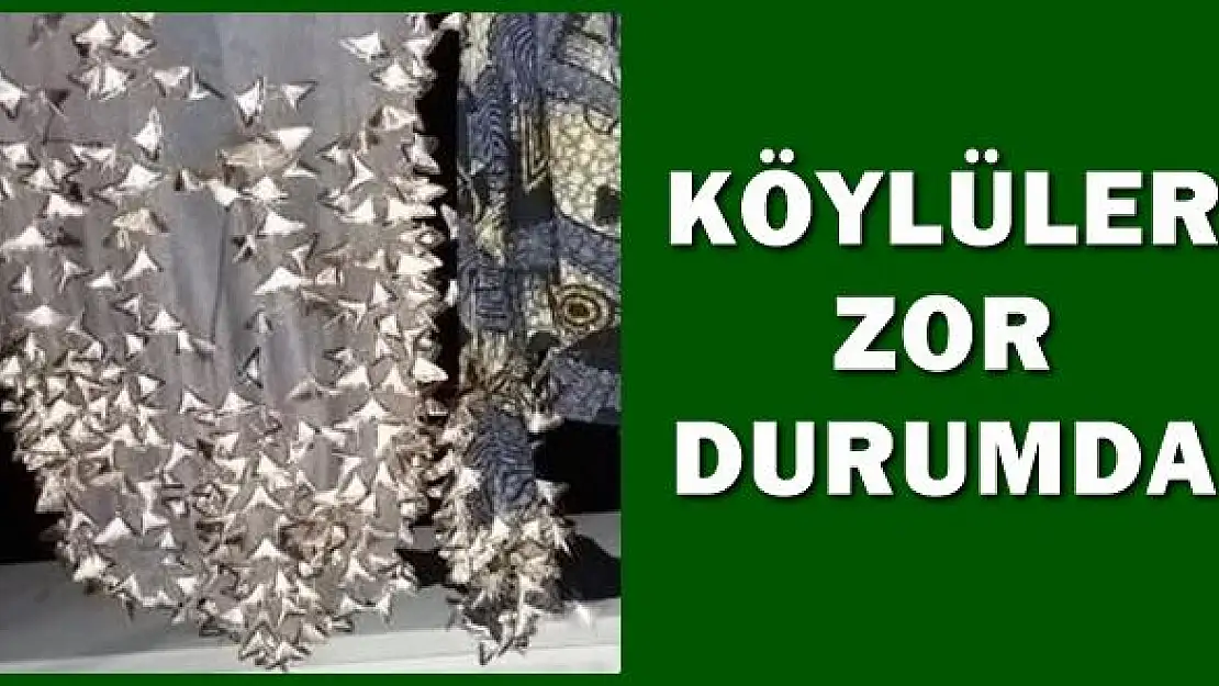 Köylüler ne yapacaklarını şaşırdı