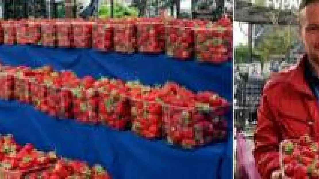 Kozcağız Çileği tezgahlardaki yerini aldı