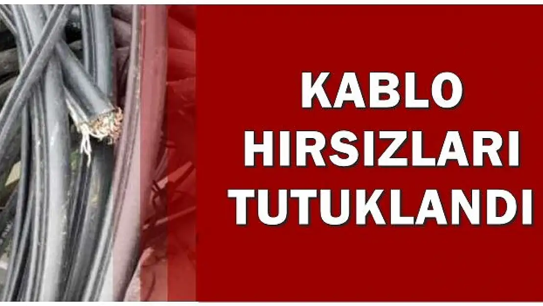 Kozcağız'da çaldılar, bakın nerede yakalandılar