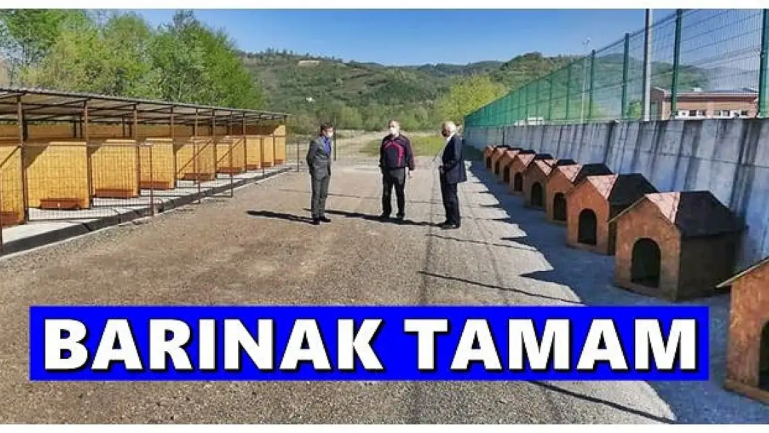 Kozcağız'da hayvan barınağının yapımı tamamlandı