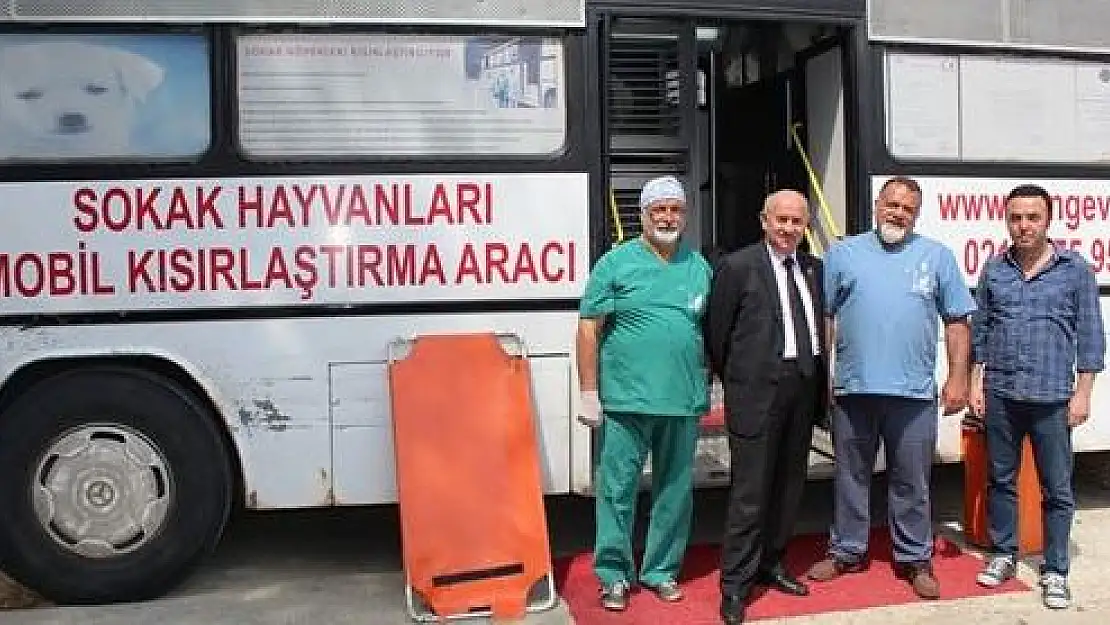 Kozcağız'da sokak köpekleri kısırlaştırılıyor