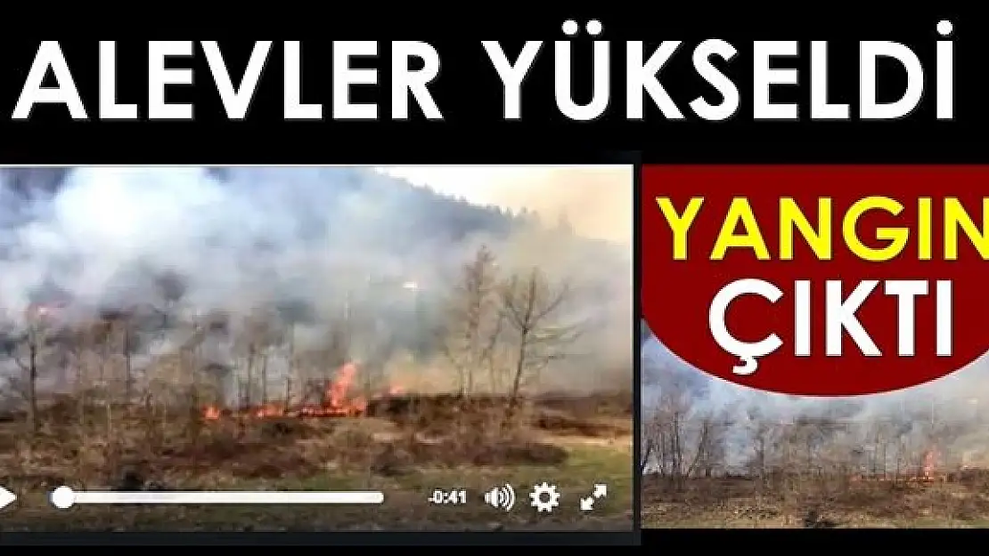 Kumluca'da yangın