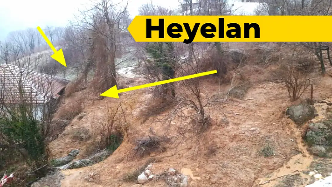 Kurucaşile'de heyelan