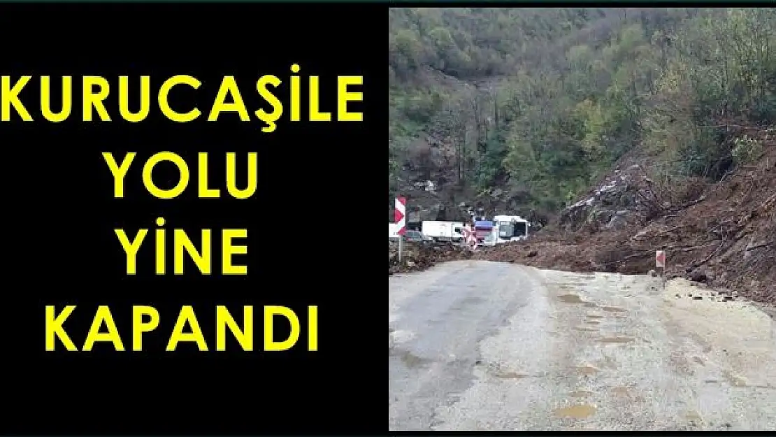 Kurucaşile Yolunda Heyelan