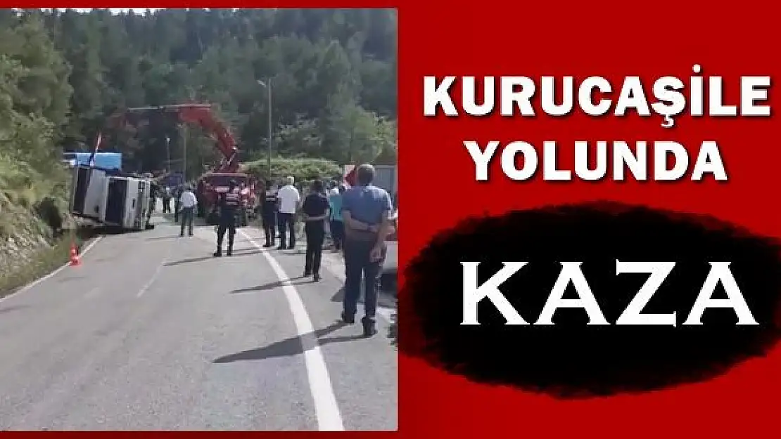 Kurucaşile yolunda kamyonet devrildi