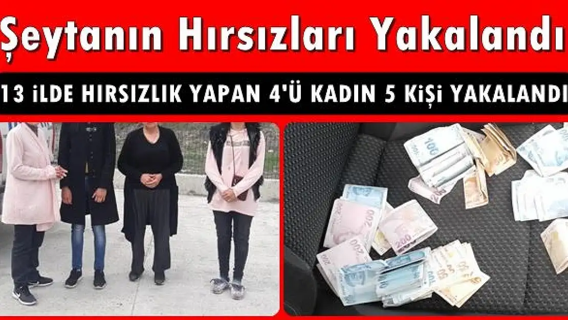Lüks araçla yankesicilik yapan şebeke çökertildi