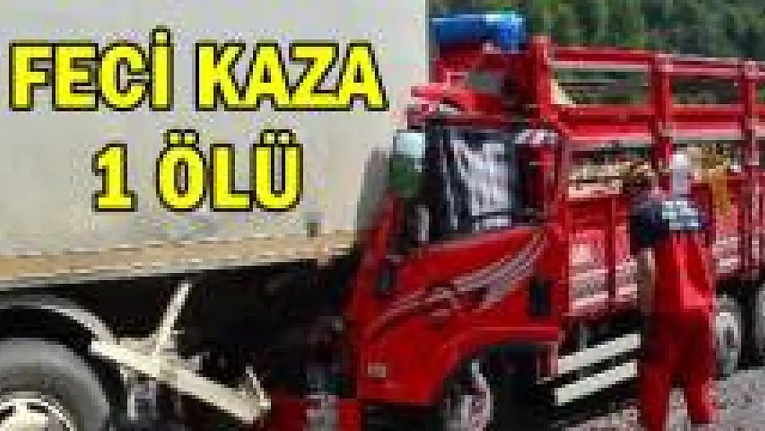 Meyve yüklü kamyon duran TIR'a çarptı
