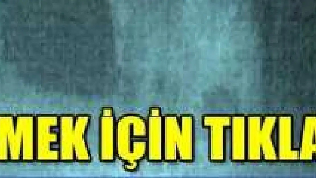 Mezarlıkta Ceset Yiyen Ayı Böyle Görüntülendi