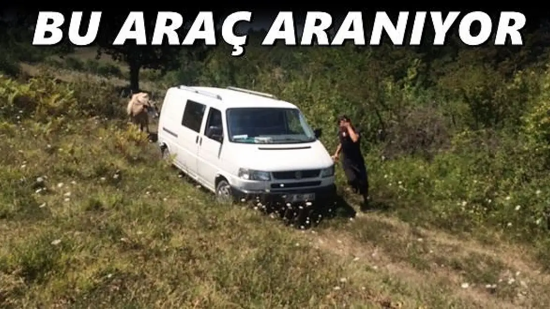 Minibüsle hayvan hırsızlığı yapanlar aranıyor