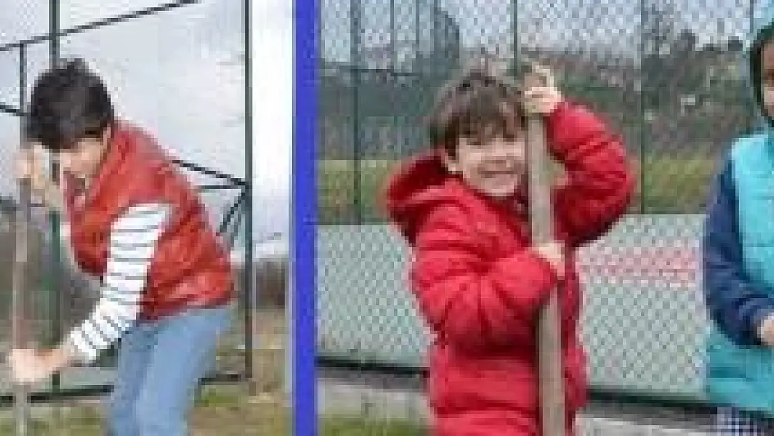 Minik eller fidan dikti
