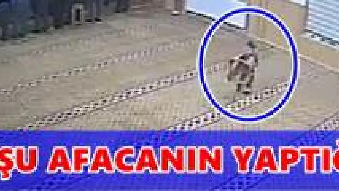 Namaz Kılan Dedenin Taburesini Yürüten afacan