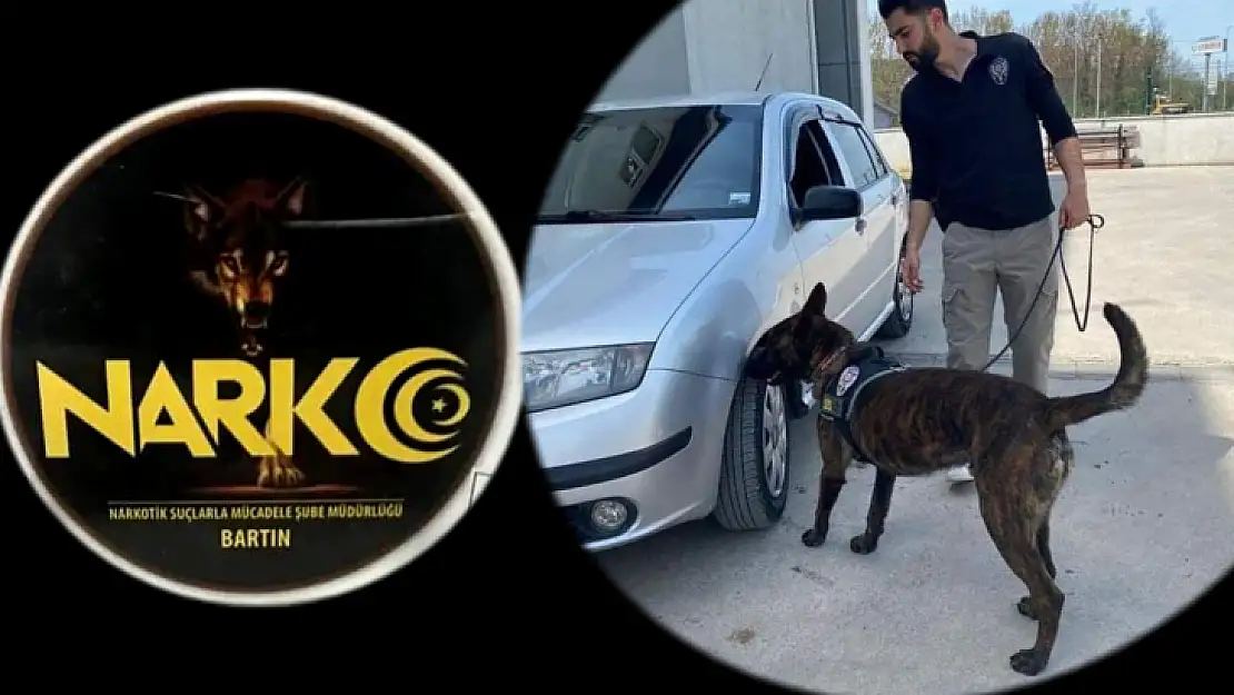 Narkotik aramalarda başarılı karne