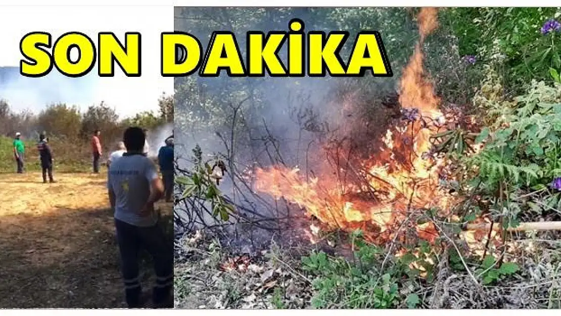 O köyde orman yangını çıktı