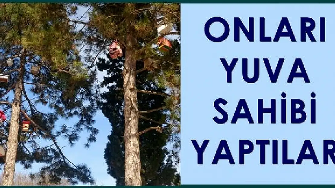 Öğrencilerden örnek proje