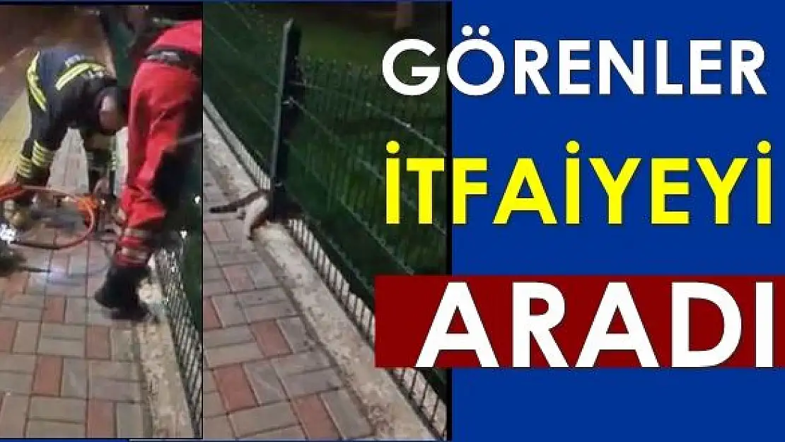 Oraya nasıl girdin mübarek!