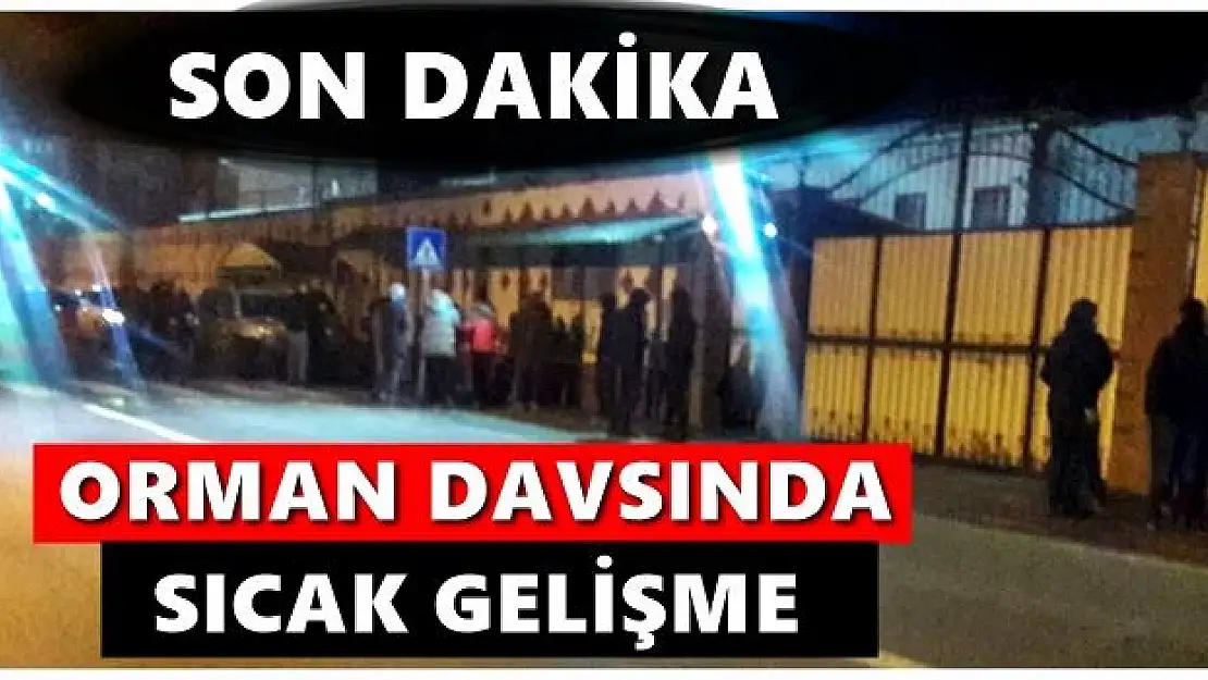 Orman davasında sıcak gelişme