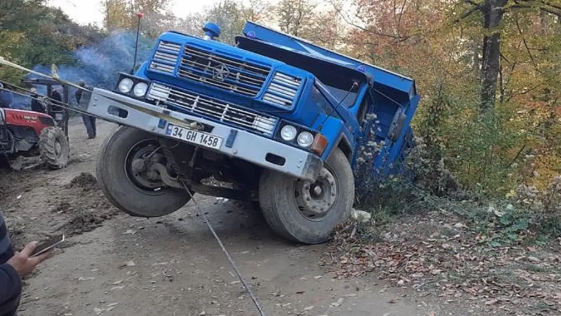 Orman yolunda kaza, böyle kaldı