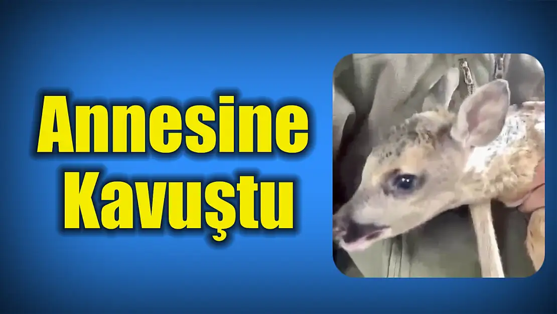 Ormanda duygulandıran kavuşma