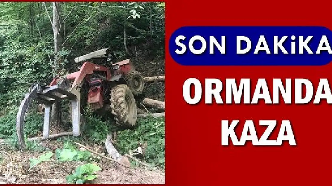 Ormanda kaza, Kepçe devrildi
