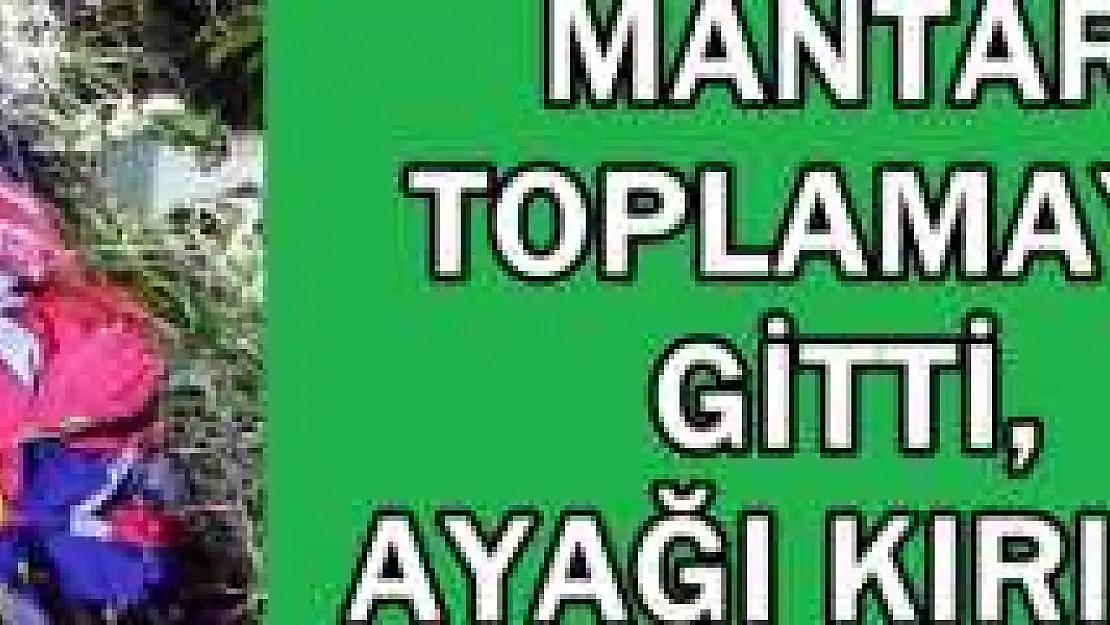 Ormanda Mahsur Kalan Kadın Kurtarıldı