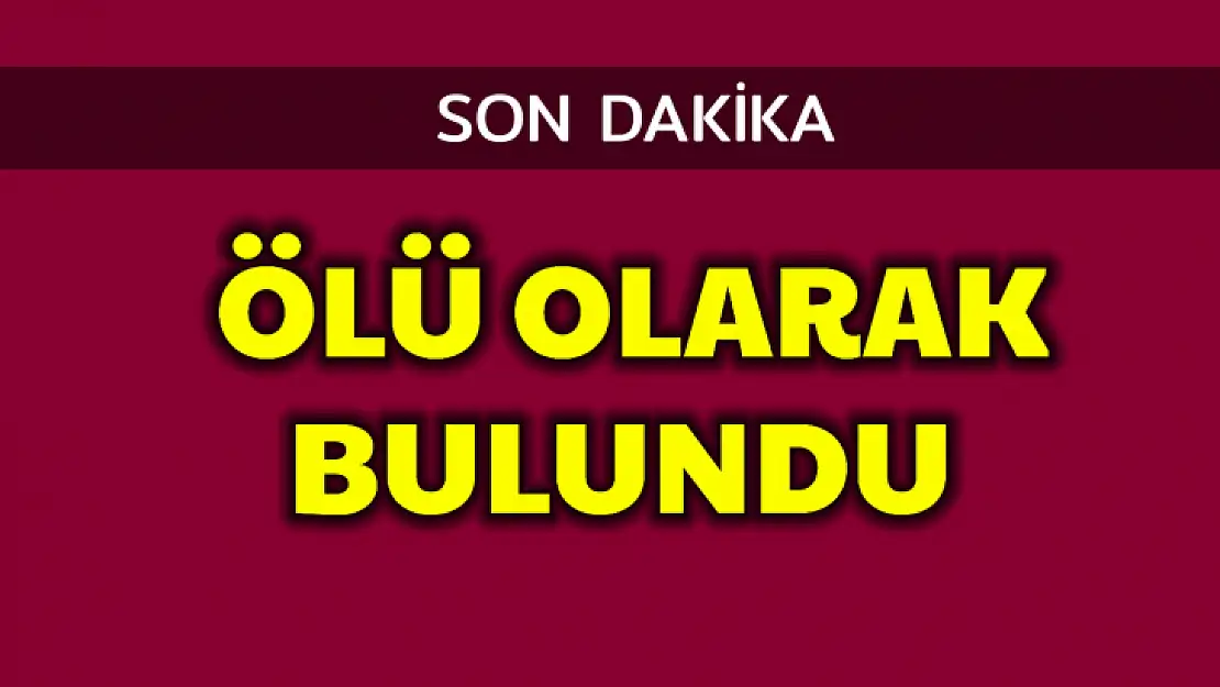 Ormanda ölü olarak bulundu