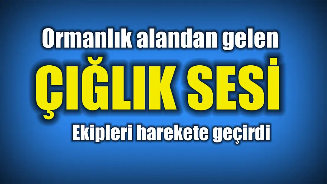 Ormandan gelen çığlık polisi alarma geçirdi