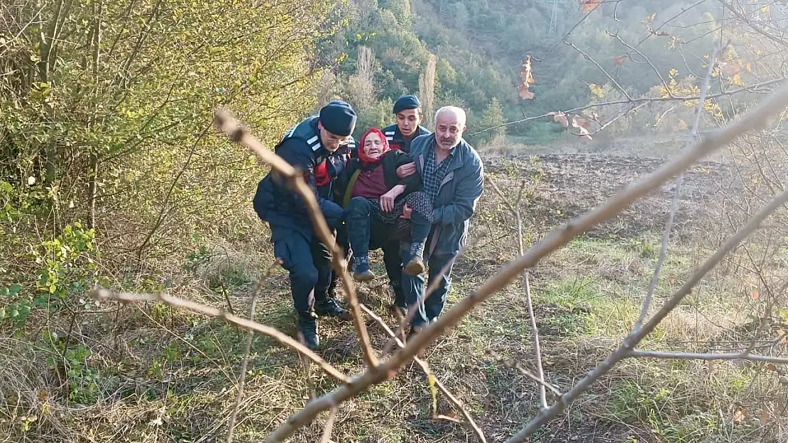 Ormanlık alanda bulundu