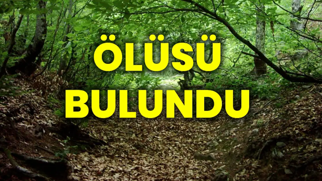 Ormanlık alanda ölüsünü buldu