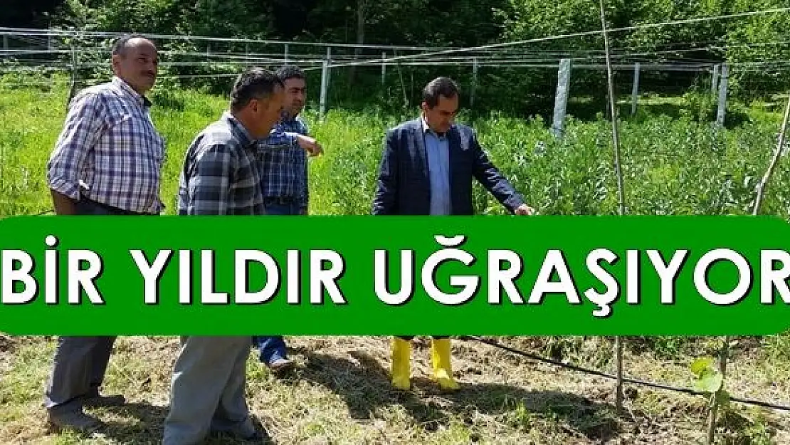 Örnek Çiftçi Yetkililerden Yardım Bekliyor