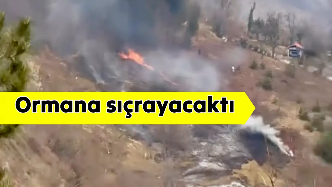 Ot yangını hızla yayıldı