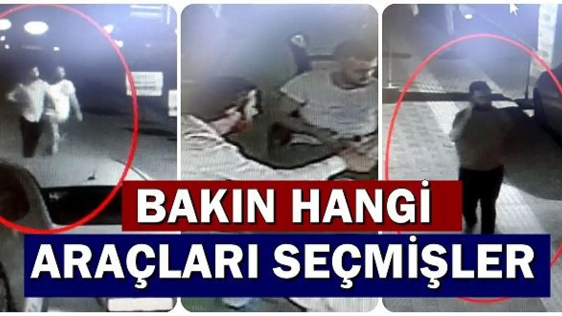 Oto Dolandırıcılığı Şebekesi Çökertildi