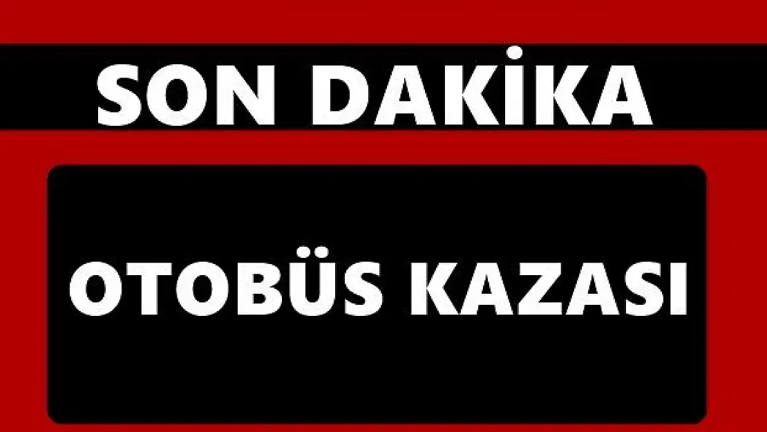 Otobüs şarampole devrildi