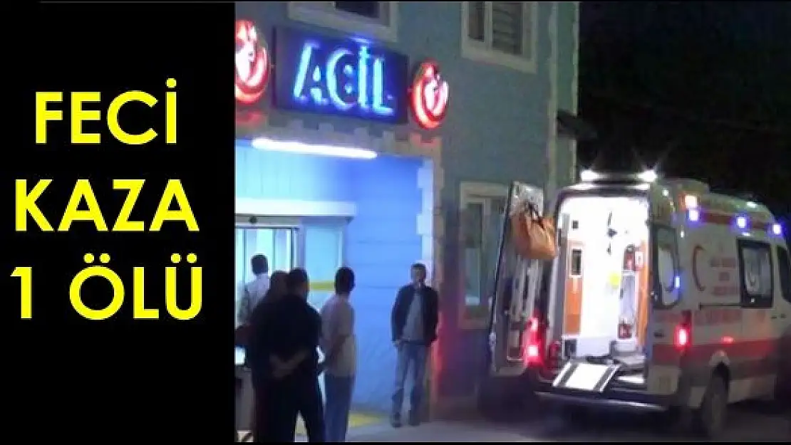 Otomobil Ağaca Çarptı: 1 Ölü, 1 Yaralı  