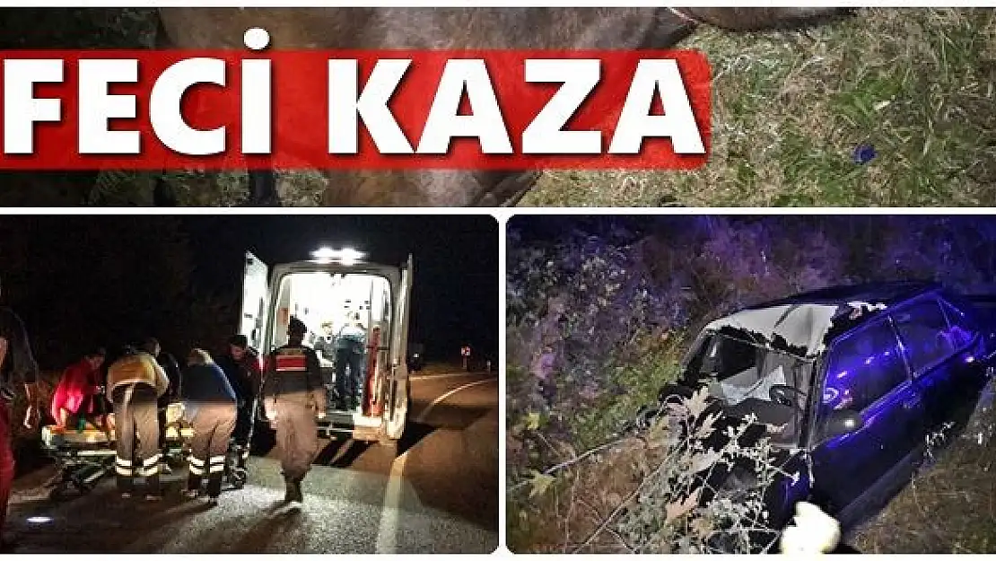 Otomobil ata çarptı